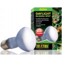 EXO TERRA Daylight 50W (neodymium bulb)